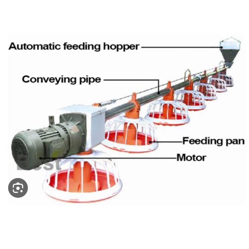 Automatic Feeding Lines